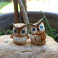 2 Brown Owl Set