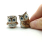 2 Brown Owl Set