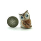 2 Brown Owl Set
