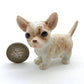 2 Chihuahua Pups