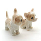 2 Chihuahua Pups