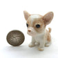 2 Chihuahua Pups