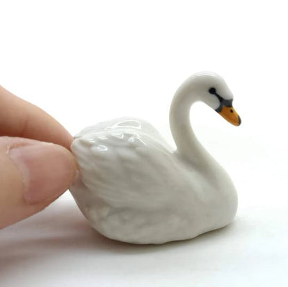 Swan