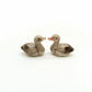 Mallard Duck Family