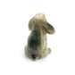 Mini Lop Rabbit