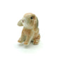 Mini Lop Rabbit