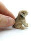 Mini Lop Rabbit
