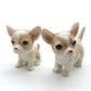 2 Chihuahua Pups
