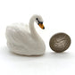 Swan