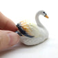 Swan