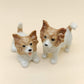2 Long-haired Chihuahuas