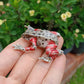 Frog Red Legged Kassina Ceramic Figurine Miniature