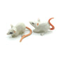2 Rats