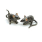 2 Rats