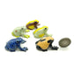Charming Quintet of Handcrafted 5 Ceramic Frog Miniatures, Gift for Frog Lovers, Home Decoration
