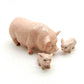 3 Pot-Bellied Kurobuta Pig Ceramic Figurines Statue
