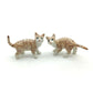 2 Kitten Cats