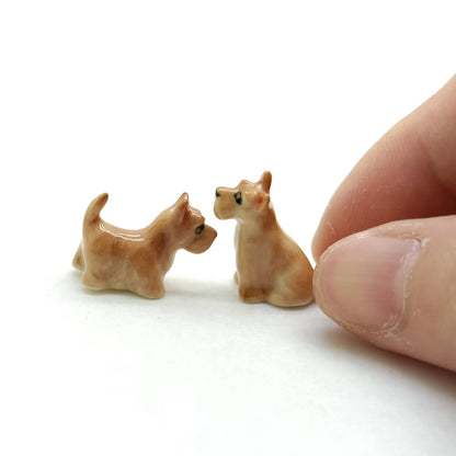 2 Tiny Scottish Terrier Dogs