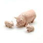 3 Pot-Bellied Kurobuta Pig Ceramic Figurines Statue