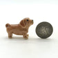 Dachshund Family