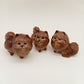 Rich Chocolate Brown Pomeranian