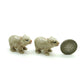 2 Wombat Maria Island Babies