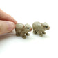 2 Wombat Maria Island Babies