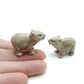 2 Wombat Maria Island Babies
