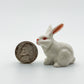 White Rabbit Bunny
