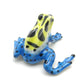 Mimic Poison Dart Frog