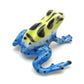 Mimic Poison Dart Frog