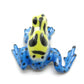Mimic Poison Dart Frog
