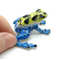 Mimic Poison Dart Frog