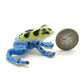 Mimic Poison Dart Frog