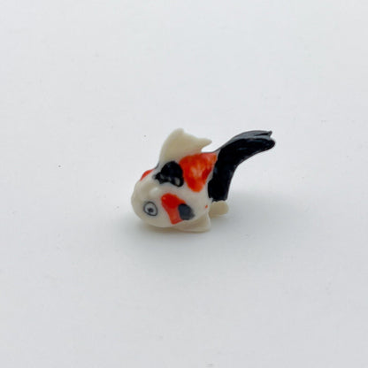 Tiny White Goldfish Gold Fish