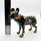 African Wild Dog Lycaon Pictus
