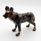 African Wild Dog Lycaon Pictus