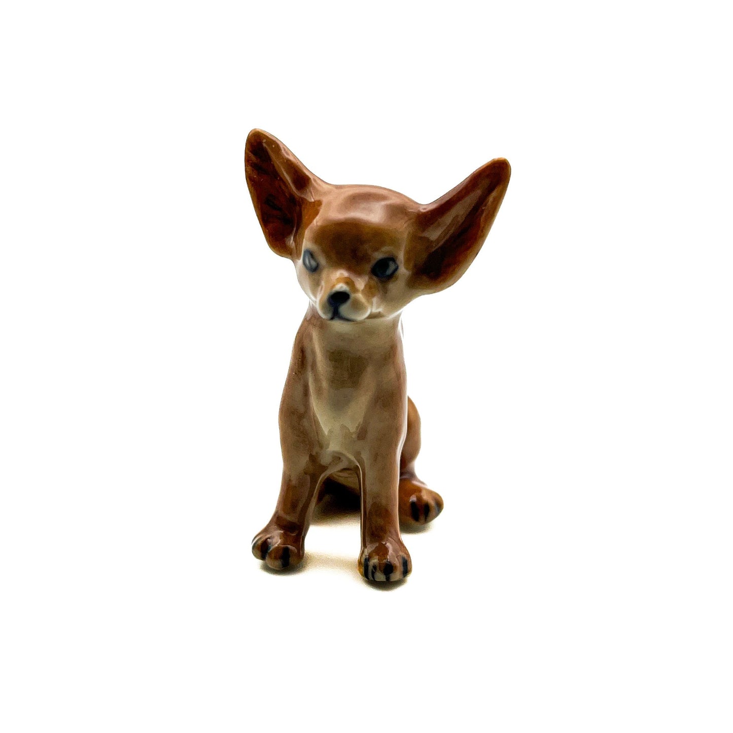 Brown Chihuahua Pup