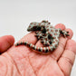 4 Grey Gecko Lizard