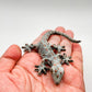 4 Grey Gecko Lizard