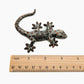 4 Grey Gecko Lizard