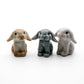 Tiny Mini Rabbit