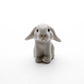 Tiny Mini Rabbit